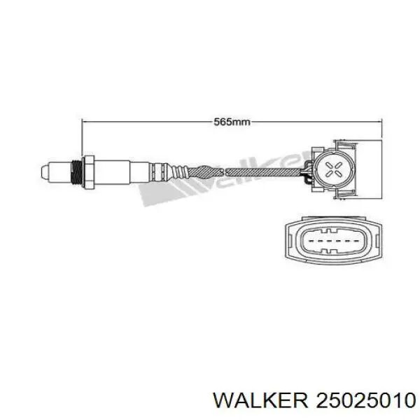  25025010 Walker