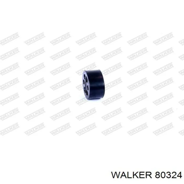  80324 Walker