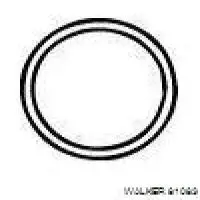 Кільце глушника Honda 18212SA5004