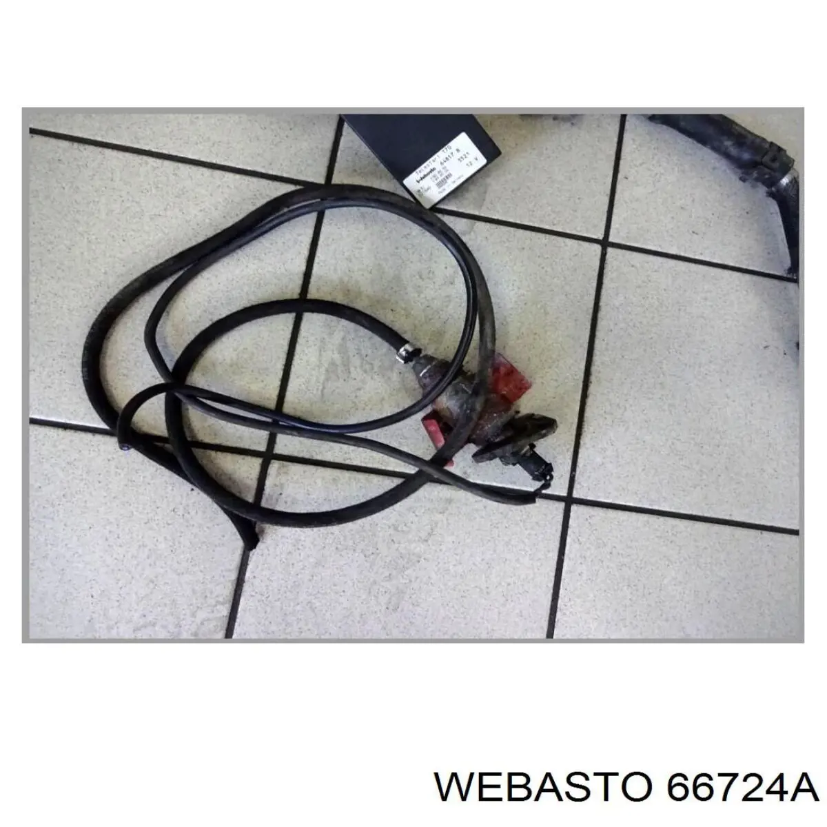  Webasto 66724A
