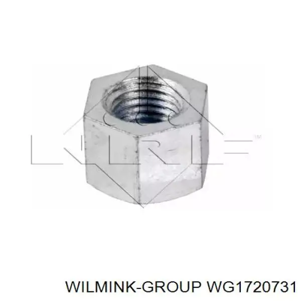 Муфта вентилятора охолодження WG1720731 WILMINK GROUP