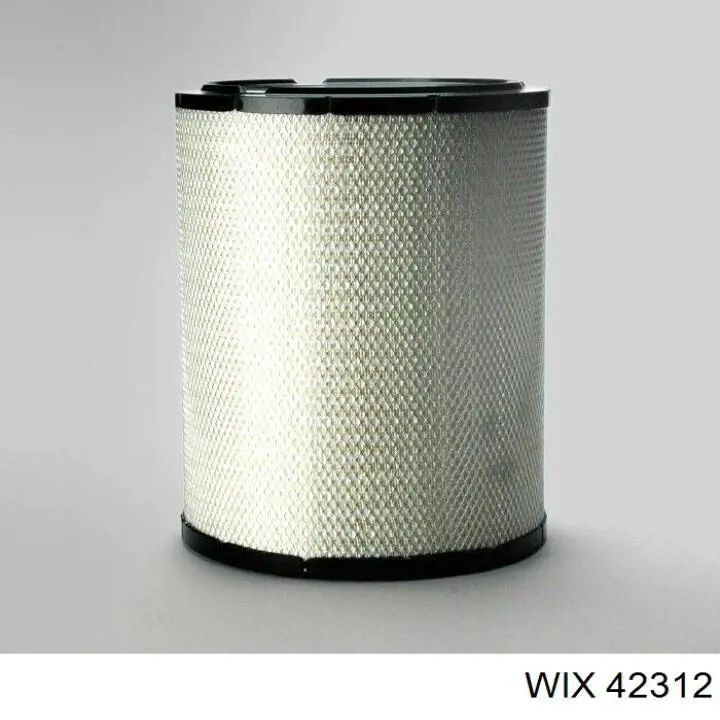 Купити 42312 WIX Автомобільний фільтр повітря
