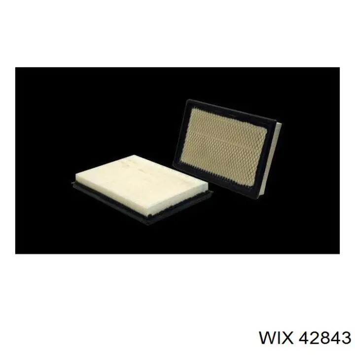 Купити 42843 WIX Автомобільний фільтр повітря