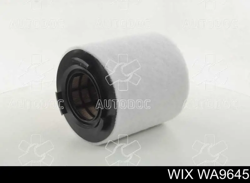 Купити WA9645 WIX Автомобільний фільтр повітря