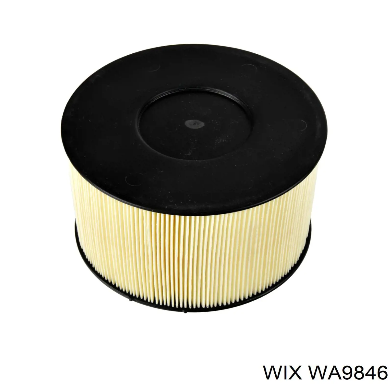 Купити WA9846 WIX Автомобільний фільтр повітря
