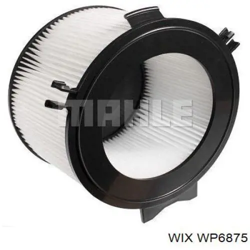 Купити WP6875 WIX Фільтр салону вугільний