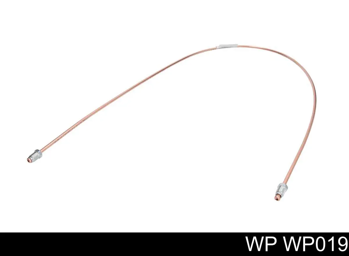 WP019 WP 