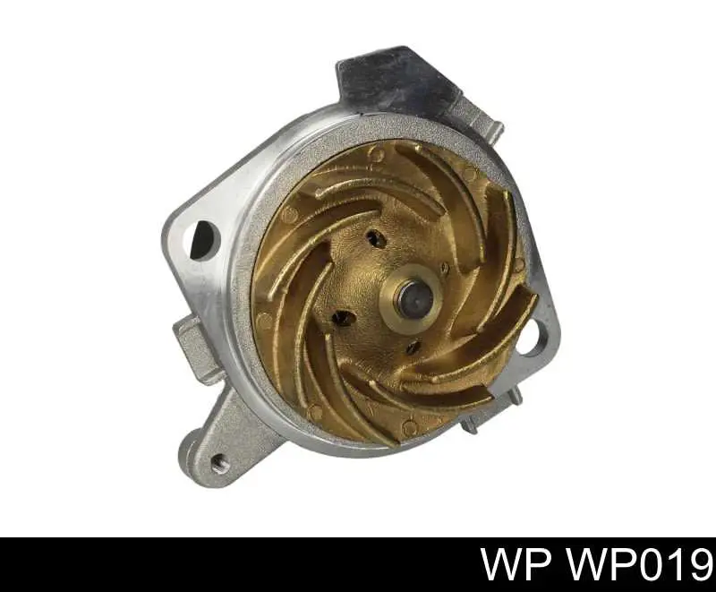  WP019 WP