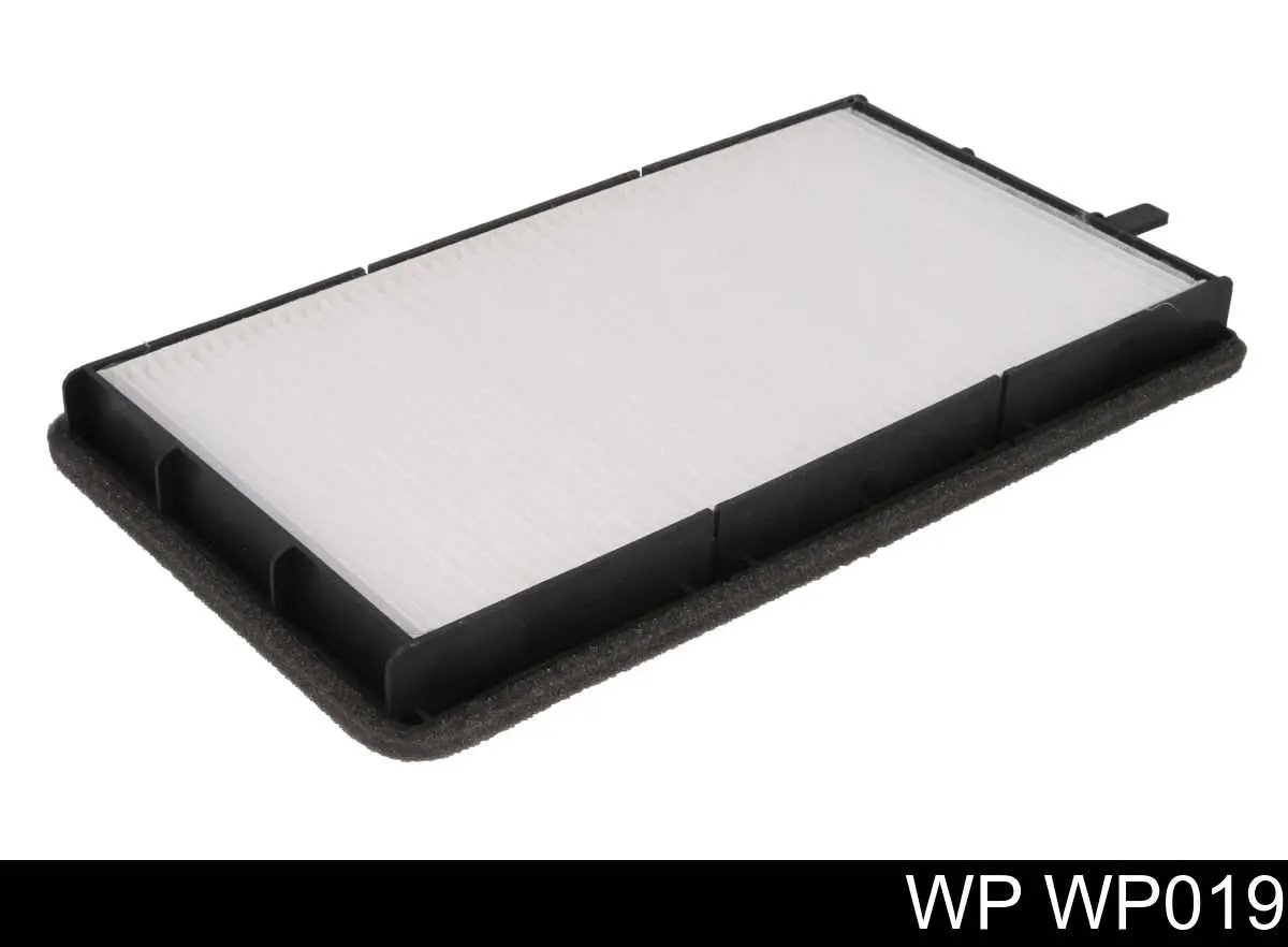  WP WP019