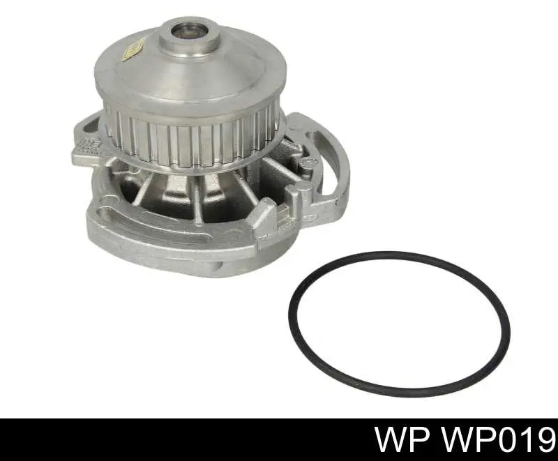 WP019 WP 