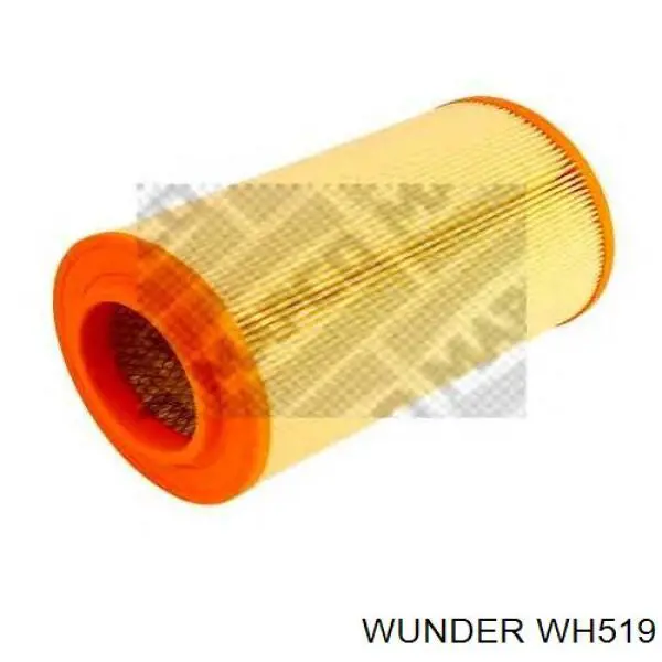 WH519 Wunder Повітряний фільтр двигуна