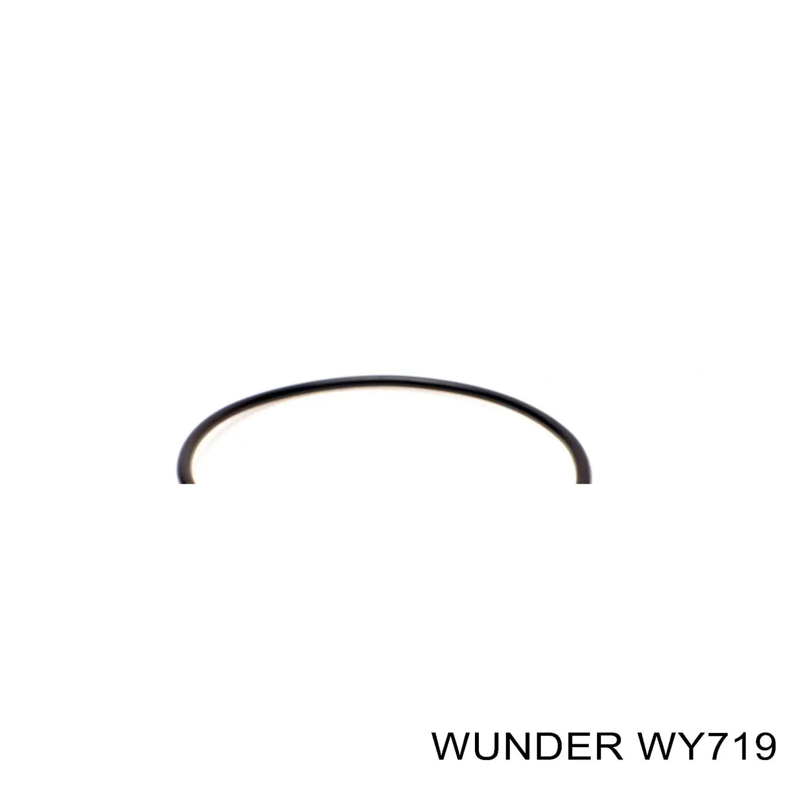 Купити WY719 Wunder Фільтр очищення масла відцентровий