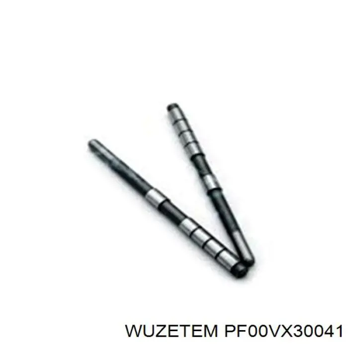 PF00VX30041 Wuzetem 