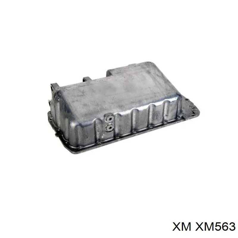 XM563 XM ролик натягувача ременя грм