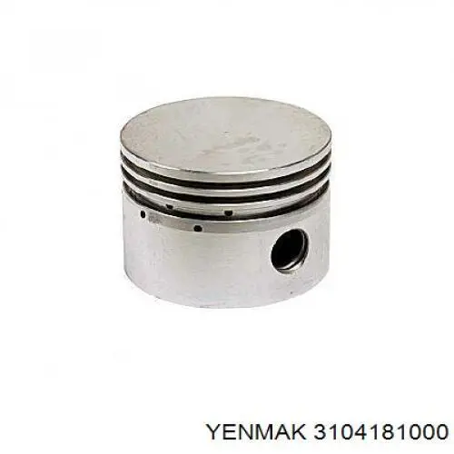 Купити 4181000 Yenmak Поршень в комплекті на 1 циліндр, STD