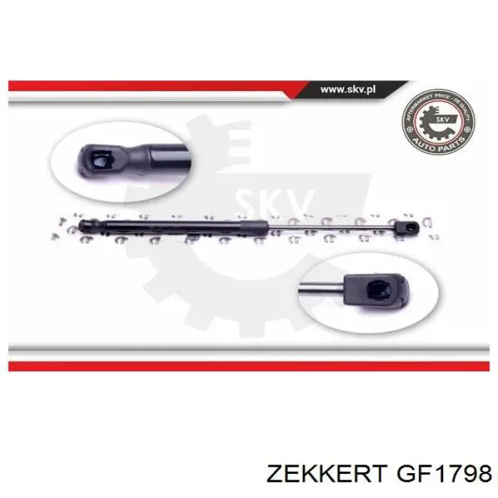 Амортизатор двері задньої Zekkert GF1798 ціна, від 7.38 USD