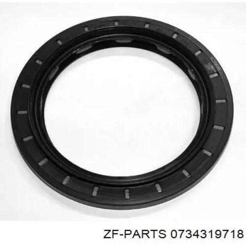 0734319718 ZF Parts Ущільнювальне кільце, універсальне