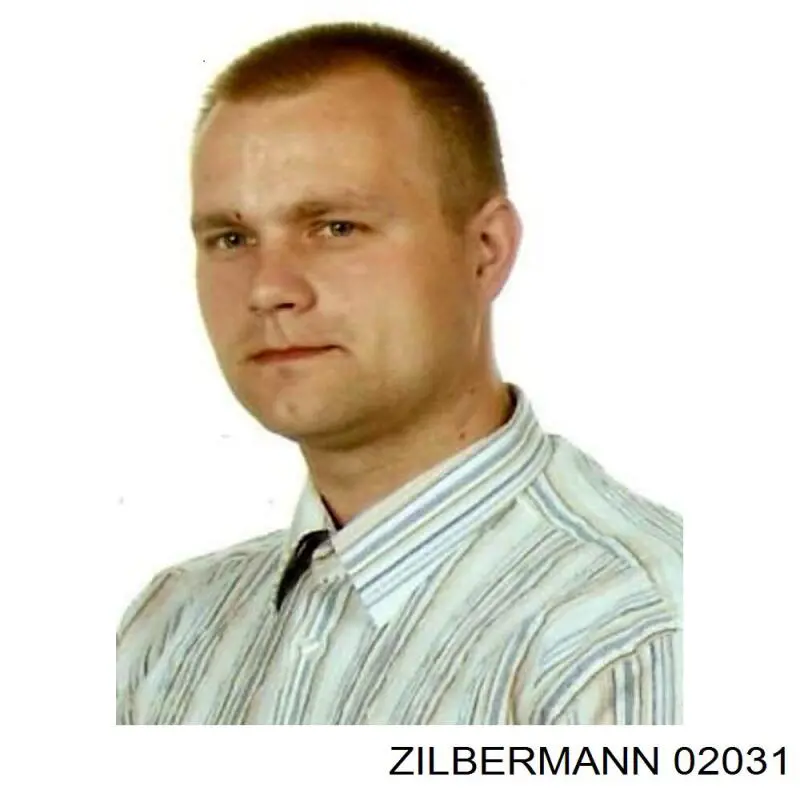 02031 Zilbermann Ролик двері бічної/зсувної, правий нижній