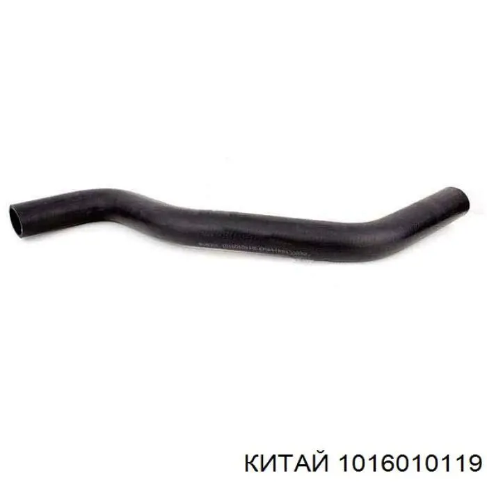 DK1016010119 DK 
