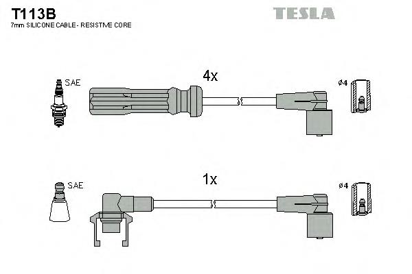  T113B Tesla