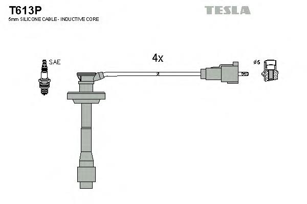 T613P Tesla дріт високовольтні, комплект