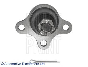Купити ADG086151 Blue Print Кульова опора, нижня, права