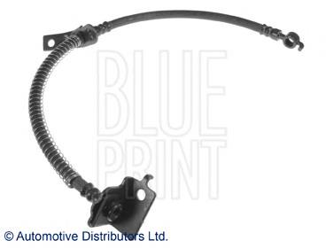 Купити ADG053147 Blue Print Шланг гальмівний передній, лівий