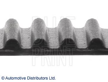 Купити ADM57517 Blue Print Ремінь газорозподільного механізму