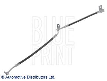 Купити ADM553105 Blue Print Шланг гальмівний передній, правий