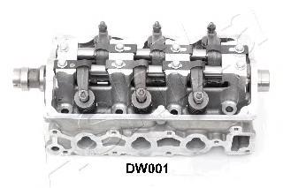 ГБЦ DW001 Ashika