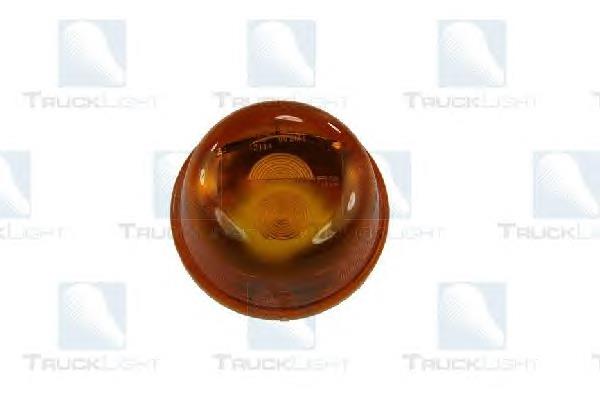 Купити CLME001 Trucklight Поворотник