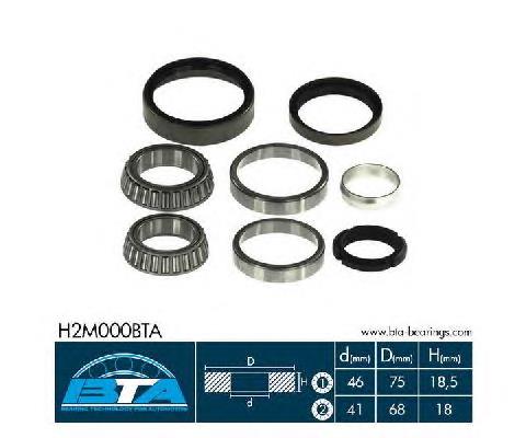 Купити H2M000BTA BTA Підшипник задньої ступиці