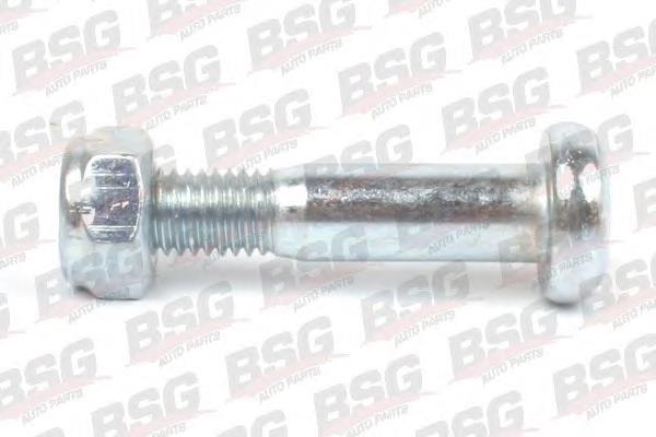 Купити BSG30230036 BSG Болт кріплення передньої кульової опори до цапфи
