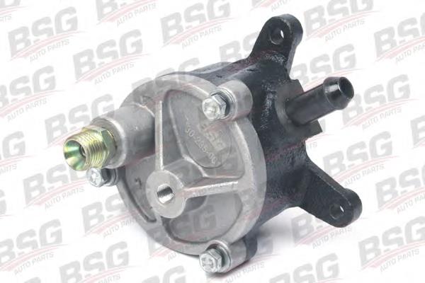 Вакуумний насос BSG30235001 BSG
