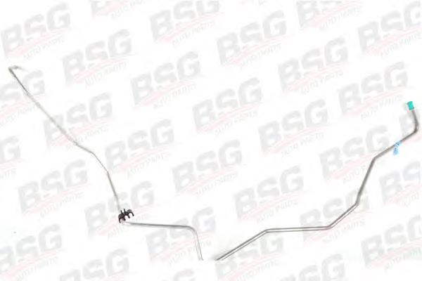 BSG30725045 BSG 