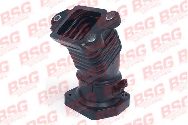 Патрубок дросельний BSG BSG30720065