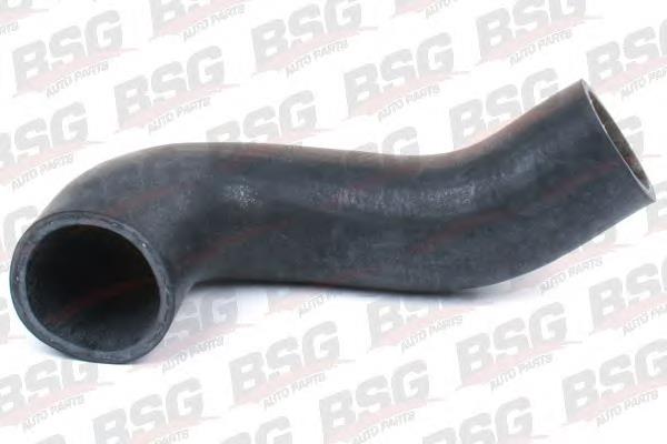 Шланг/патрубок интеркуллера BSG BSG30720098 ціна, від 14.15 USD
