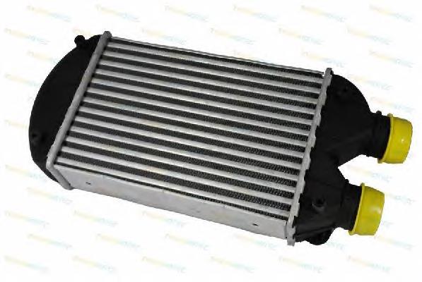 Інтеркулер DAF002TT Thermotec