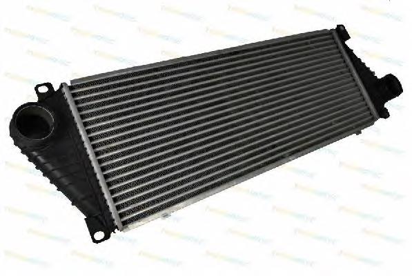 Купити DAM001TT Thermotec Радіатор интеркуллера