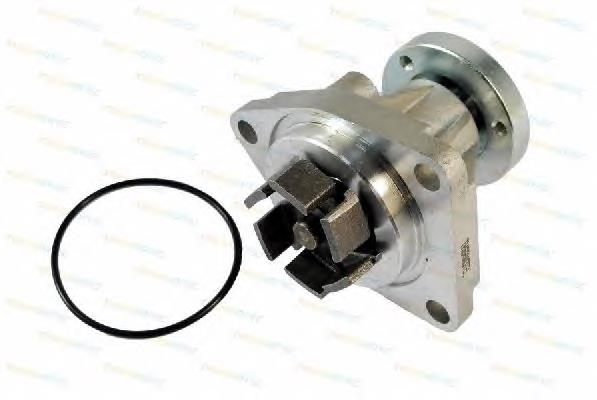 Помпа D1X027TT Thermotec