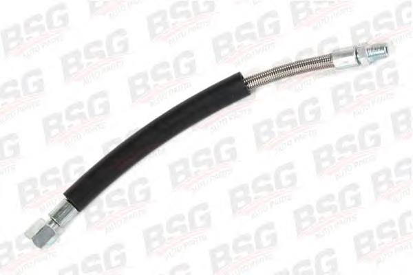 30725002 BSG Шланг (патрубок) вакуумного насоса