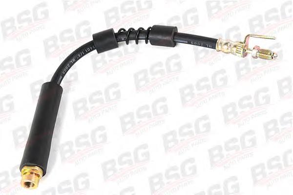 Гальмівні шланги передні BSG30730012 BSG