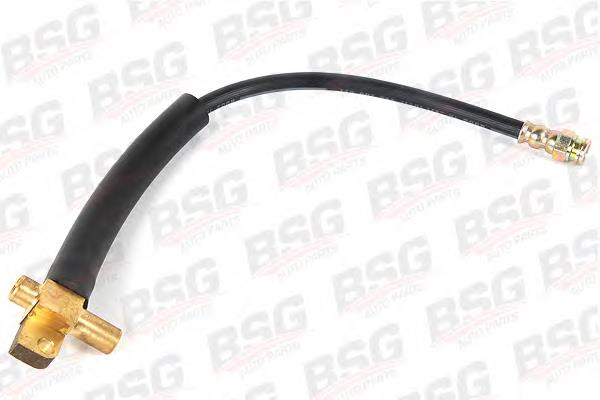 Купити BSG30730009 BSG Шланг гальмівний задній