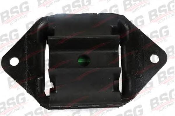  BSG30700036 BSG