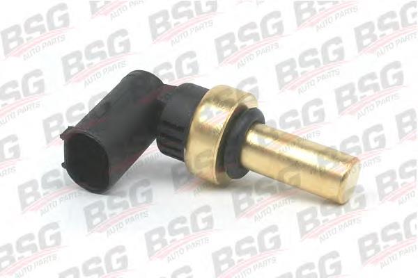 BSG60840012 BSG Покажчик температури охолоджуючої рідини