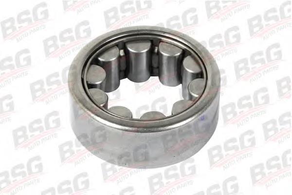 Купити BSG30605017 BSG Підшипник задньої ступиці