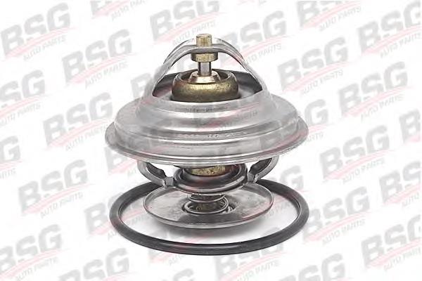 Термостат BSG60125002 BSG
