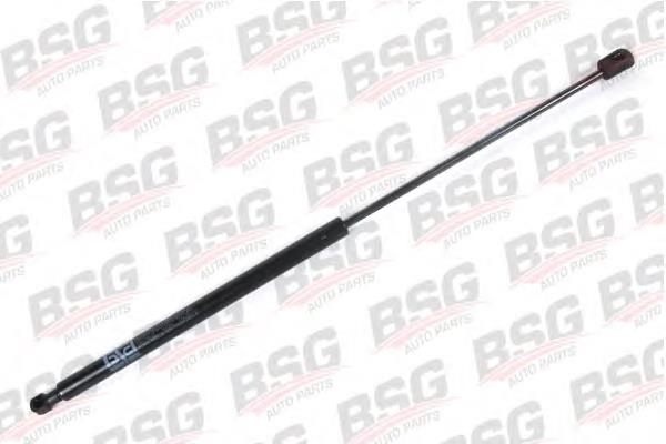Амортизатор двері задньої BSG BSG30980006 ціна, від 8.17 USD
