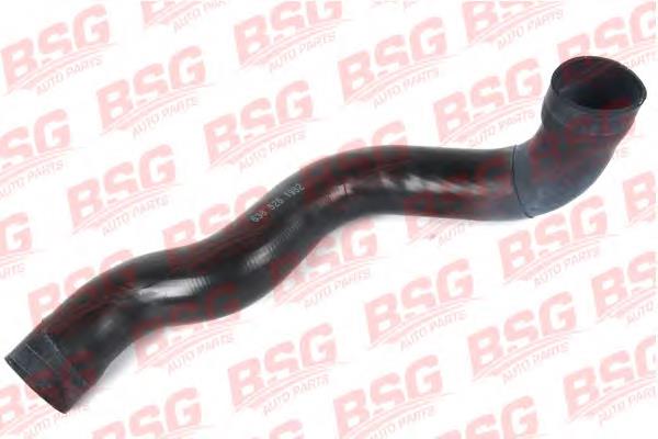 BSG60720011 BSG Трубка, що нагнітається