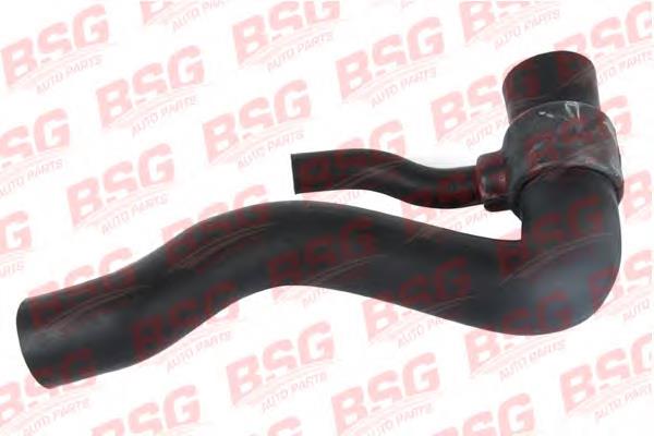 BSG60720002 BSG Шланг/патрубок радіатора охолодження, нижній
